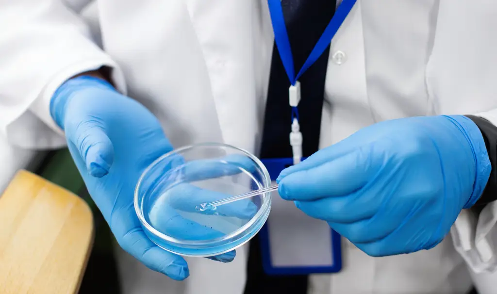 IUI Lab Setup Course