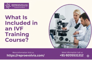 What Is Included in an IVF Training Course? A Complete Guide for Medical Professionals